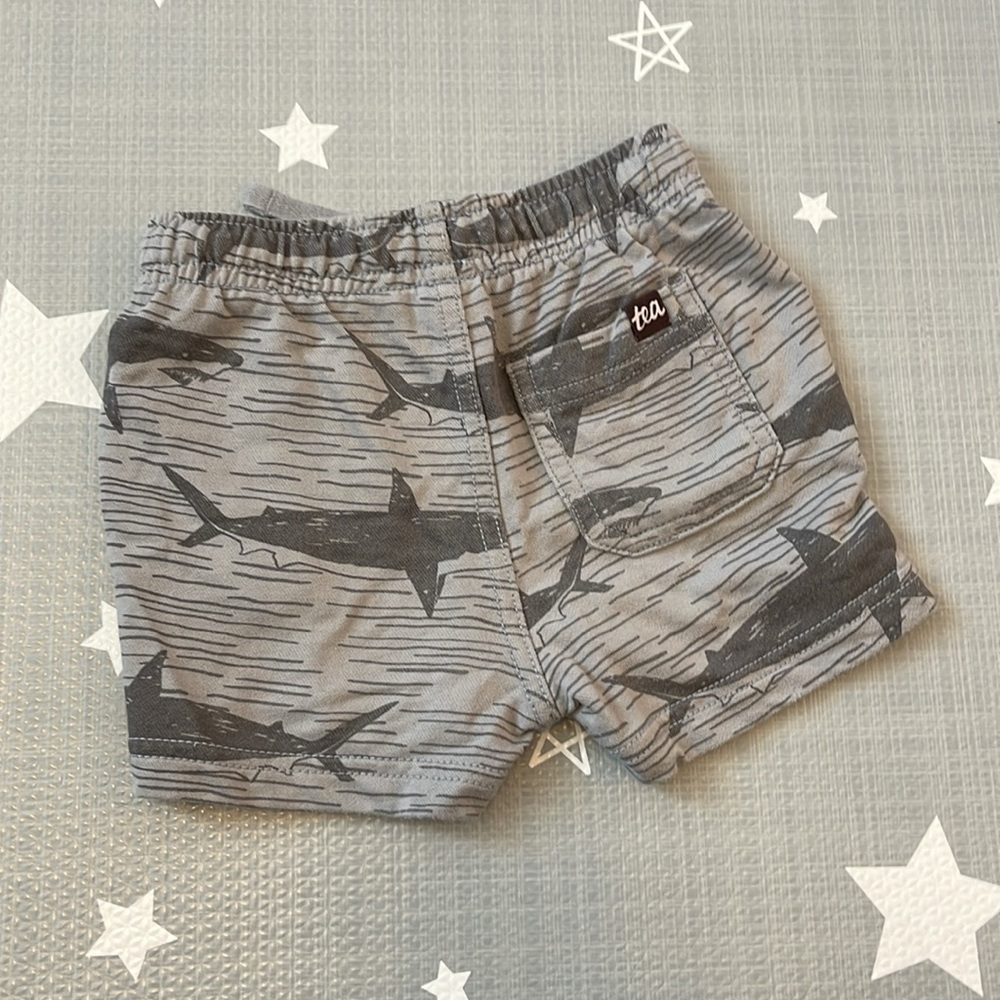 BOGO Tea Collection - 🦈 Knit Shorties, 12-18 months - Picture 5 of 8